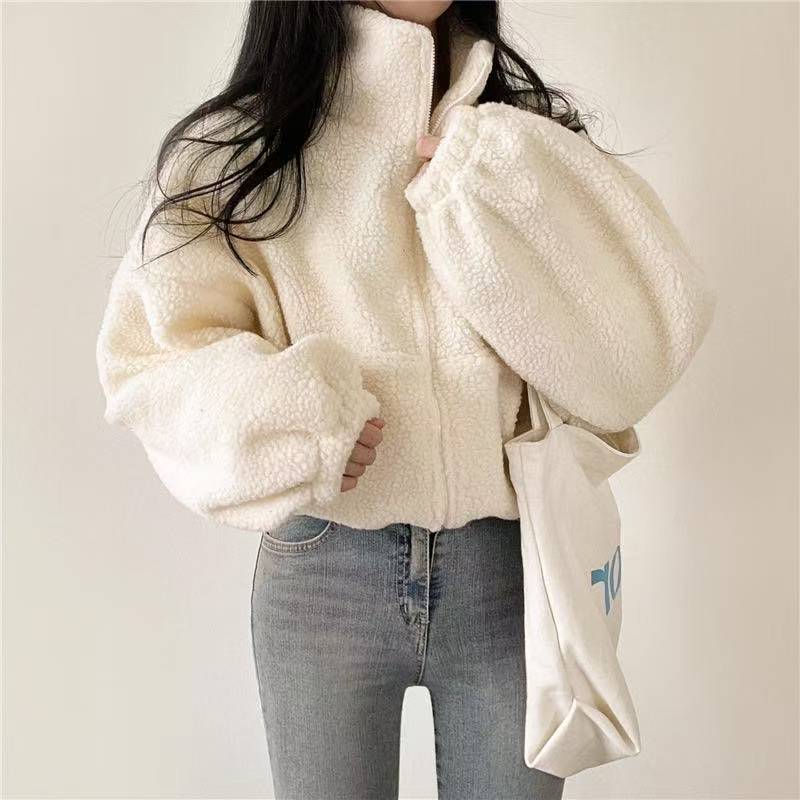 Sherpa Hoodie Fleece - Women Stand Collar Cropped Zip Up